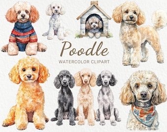 Poodle Watercolor Clipart - 24 PNG Cute Dog clip art, Dog breeds clip art, Dog printable art, gifts for dog owners, Digital Download