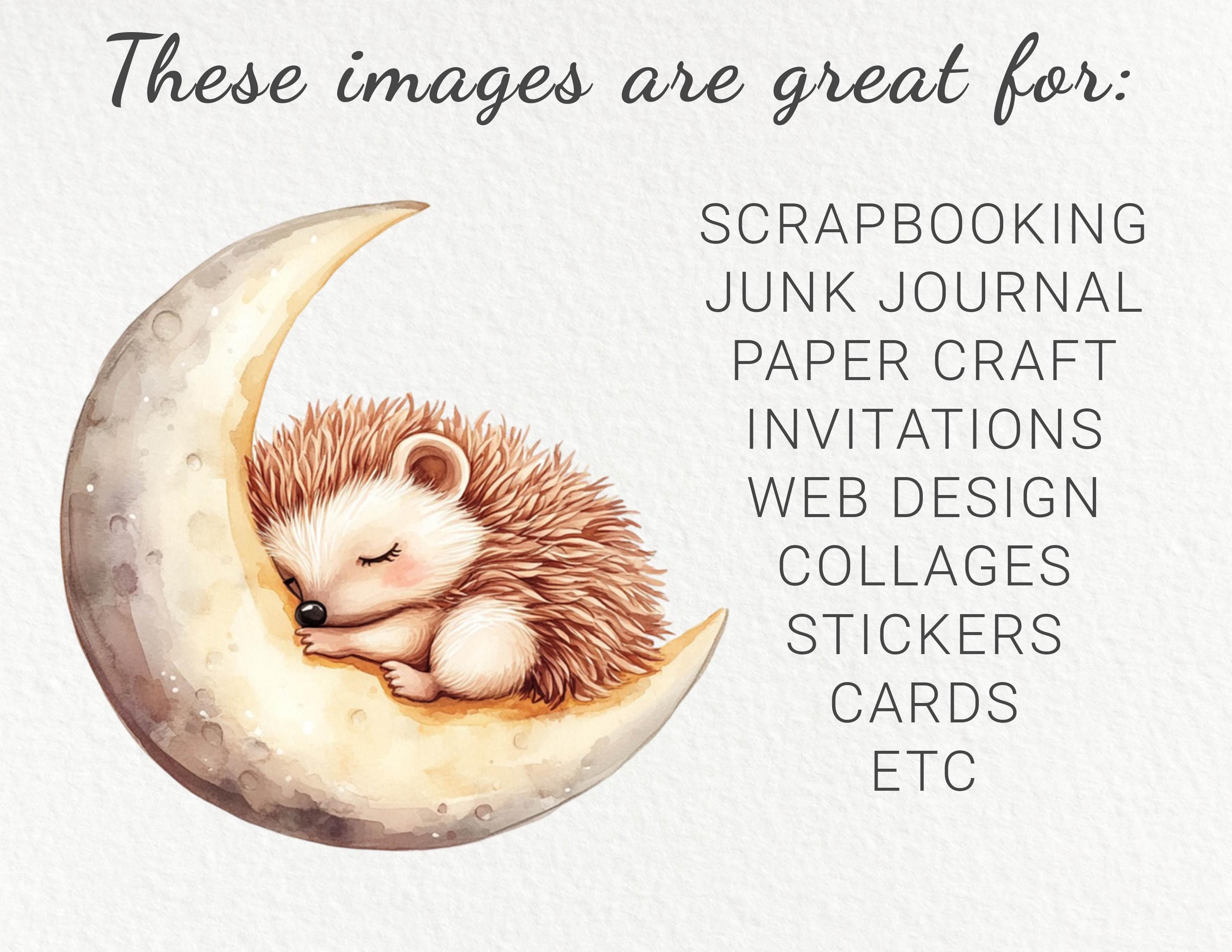 Hedgehog Nursery Watercolor Clipart - 24 PNG Cute Fairy Woodland ...