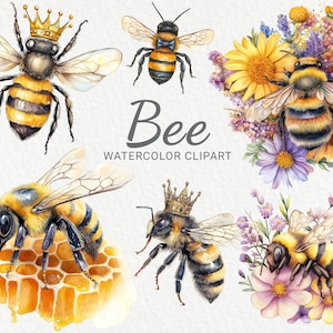 Bee Watercolor Clipart - 24 PNG Cute Insects clip art, honey bee clipart bundle, scrapbooking, junk journal, Instant Digital Download