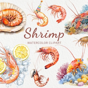 Shrimp Watercolor Clipart - 24 PNG Cute Shrimp clip art, Marine theme decor, scrapbooking, junk journal, Instant Digital Download