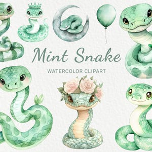 Clipart de Cobra de Hortelã - 24 PNG Decoração de Aquarela para Berçário, Cobra Bebê Verde, Decoração de Animais, Chá de Bebê, Festa de Bebê, Download Digital