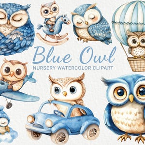 Blauwe uil aquarel clipart - 24 PNG schattige fee vogel illustratie, kinderkamer Rose Owl, babyshower decor, babyfeestje, instant digitale download