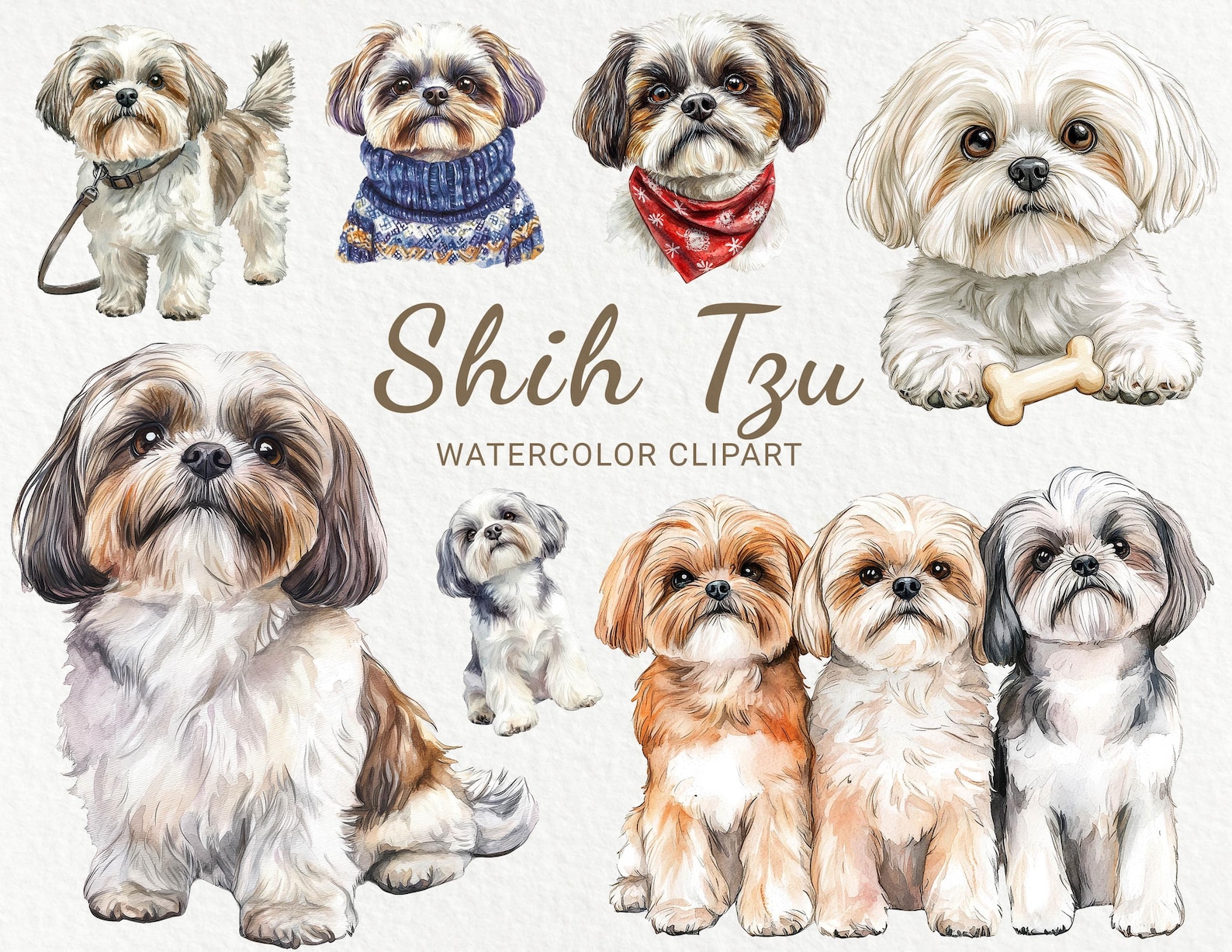 Shih Tzu Watercolor Clipart - 24 PNG Cute Dog Clip Art, Dog Breeds Clip ...