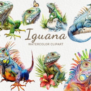 Iguana - Etsy 日本