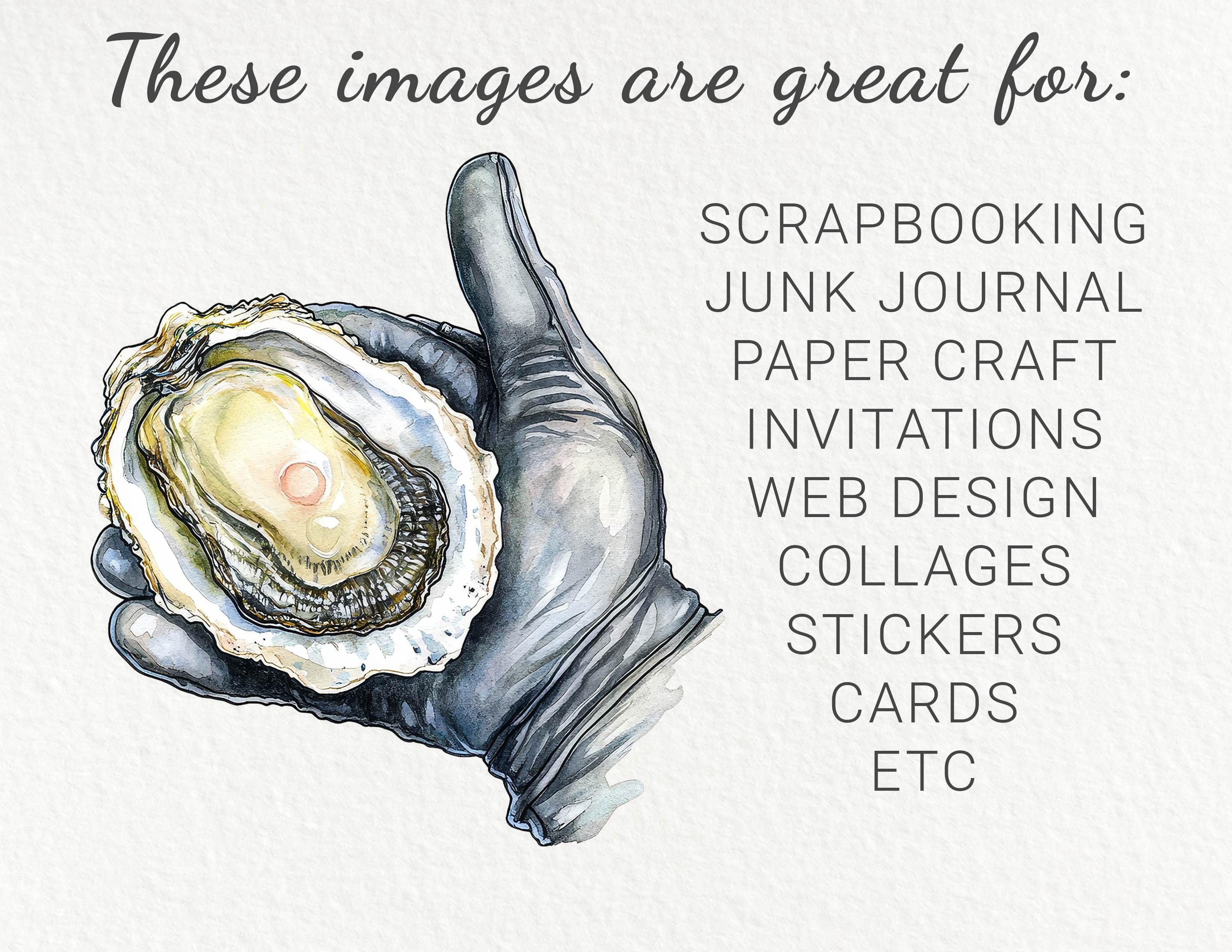 Oyster Watercolor Clipart - 24 PNG Cute Oyster Clip Art, Marine Theme ...