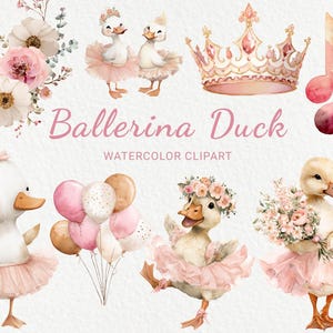 Ballerina Duck Pink Watercolor Clipart - 24 PNG Nursery Pink Birds Graphics, Baby Shower Decor, Baby Party, Sublimation, Digital Download