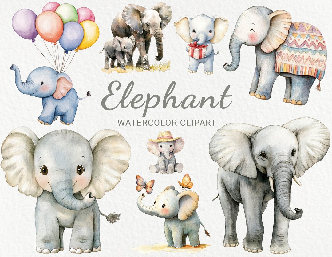 Elephant Watercolor Clipart - 24 PNG Safari Animal Clip Art, Digital ...