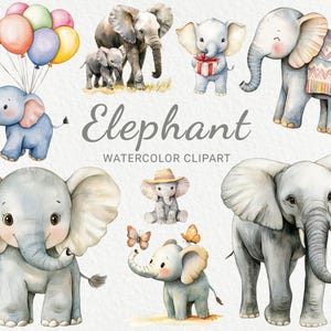 Elefante aquarela clipart - 24 PNG Safari animal clip art, impressões digitais, imagens fofas de chá de bebê, berçário, download digital instantâneo