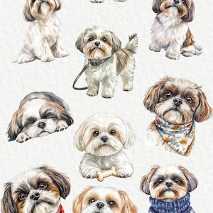 Shih Tzu Watercolor Clipart - 24 PNG Cute Dog Clip Art, Dog Breeds Clip ...