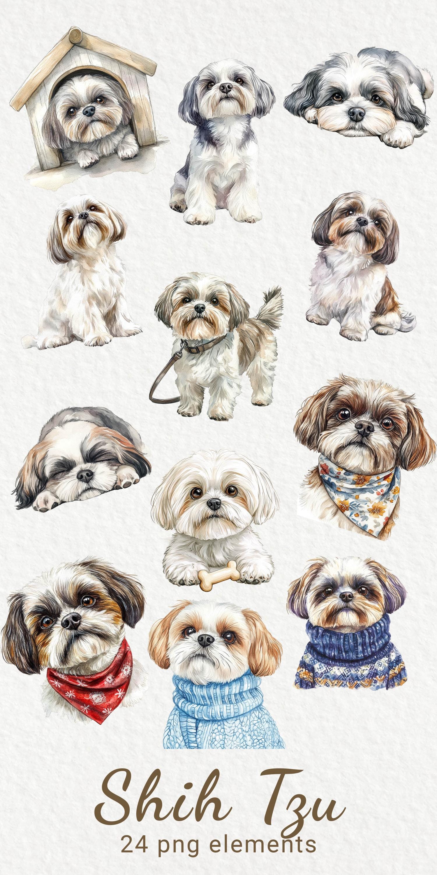 Shih Tzu Watercolor Clipart - 24 PNG Cute Dog Clip Art, Dog Breeds Clip ...