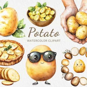 Clipart de acuarela de patata: 24 divertidas ilustraciones PNG de patata, verduras chibi geniales, comida kawaii, descarga digital, uso comercial