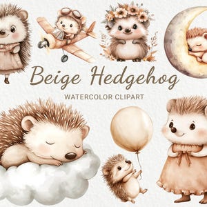 Egel kwekerij aquarel clipart - 24 PNG schattige sprookjesachtige bosdieren in beige en bruin, babyshower decor, babyfeestje, digitale download