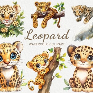 Leopard Clipart - 24 PNG Aquarell Safari Tiere Clip Art, Digitaldrucke, niedliche Babyparty Bilder, Kinderzimmer, sofortiger digitaler Download