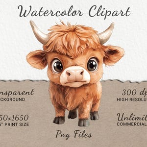 May include: Watercolor clipart of a brown Highland cow with large eyes. The cow is standing on a white background. The image is 1650x1650 pixels and is 5.5 inches by 5.5 inches.