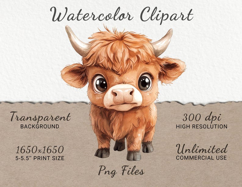 May include: Watercolor clipart of a brown Highland cow with large eyes. The cow is standing on a white background. The image is 1650x1650 pixels and is 5.5 inches by 5.5 inches.