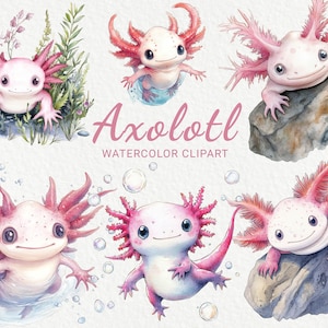 Aksolotl Akwarela Clipart - 16 PNG Uroczy Aksolotl clipart, morski, wystrój w stylu oceanicznym, scrapbooking, dziennik śmieci, natychmiastowe pobieranie cyfrowe