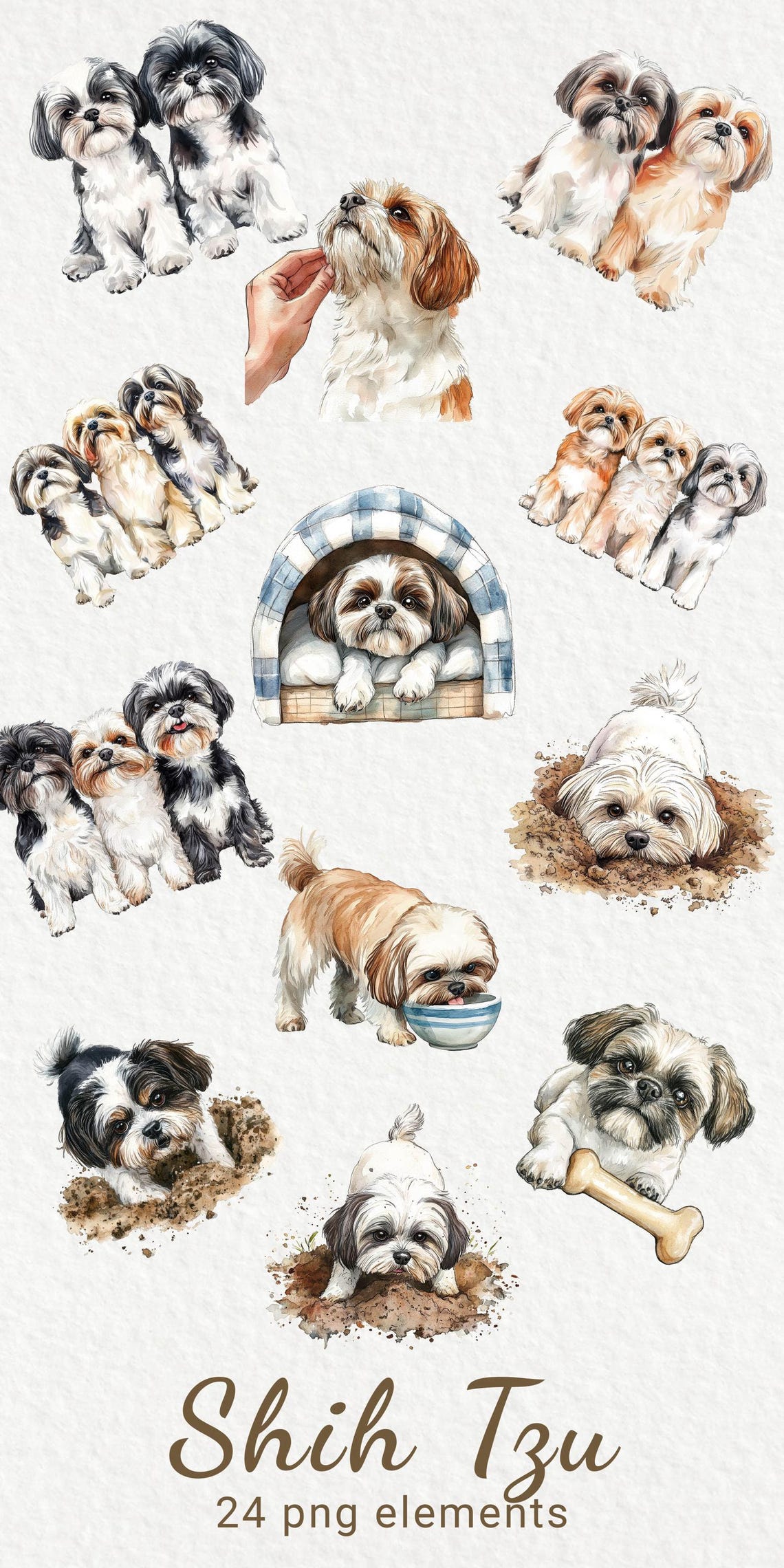 Shih Tzu Watercolor Clipart - 24 PNG Cute Dog Clip Art, Dog Breeds Clip ...