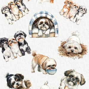 Shih Tzu Watercolor Clipart - 24 PNG Cute Dog Clip Art, Dog Breeds Clip ...