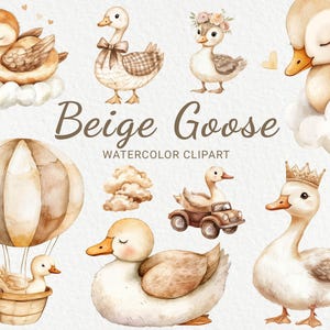 Gans Kinderzimmer Aquarell Clipart - 24 PNG Niedliche Gänse Beige & Braun, Vogel Dekor, Babyparty, Babyparty, Baby Bauernhof Gänse, digitaler Download