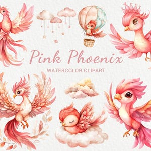 Clipart aquarelle rose de chambre d'enfant de Phoenix - 24 Images d'oiseaux majestueux de fées PNG, décoration de shower de bébé, art de fête de bébé, téléchargement numérique instantané