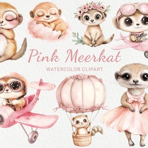 Rosa Erdmännchen Kinderzimmer Aquarell Clipart - 24 PNG Tiere Dekor, Rose Babyparty, Baby Party, kleiner Mungo, sofortiger digitaler Download