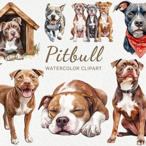Pitbull Akwarela Clipart - 24 PNG Uroczy Pies clipart, Rasy psów clipart, Pies wydrukowalna sztuka, prezenty dla właścicieli psów, Pobieranie cyfrowe