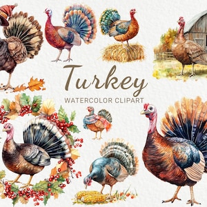 Turkey Watercolor Clipart - 24 PNG Cute Turkey clip art, Farm Birds prints, scrapbooking, digital junk journal, Instant Digital Download