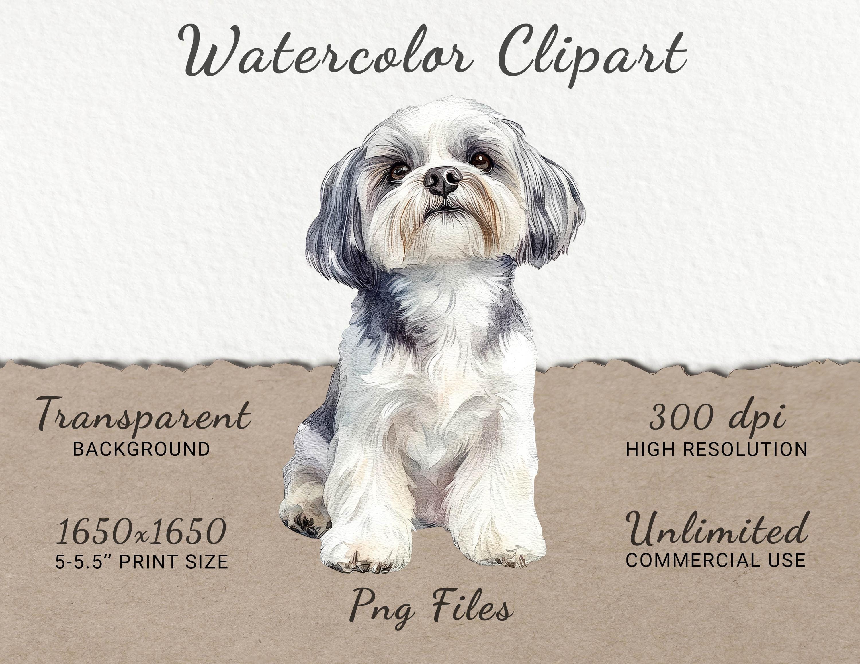 Shih Tzu Watercolor Clipart - 24 PNG Cute Dog Clip Art, Dog Breeds Clip ...