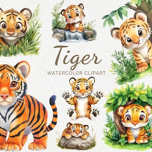 Tiger Clipart - 24 PNG Watercolor Baby Tiger clip art, Funny Safari Animals, Baby Shower decor, Nursery decor, Instant Digital Download
