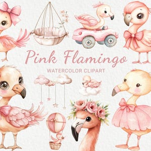 Roze flamingo kwekerij aquarel clipart - 24 PNG schattige roos flamingo, decor vogels, babyshower, babyfeestje, DIY, instant digitale download