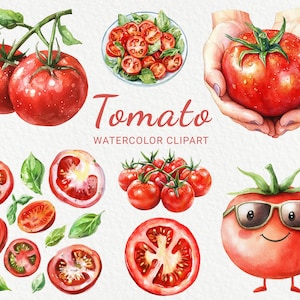 Tomato Watercolor Clipart - 24 PNG Funny Tomato Illustration, Cool Chibi Vegetables, Kawaii Food, Digital Download, Commercial use