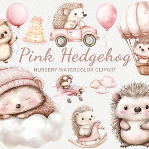 Clipart acquerello per vivaio di ricci rosa - 24 PNG simpatici animali del bosco fatato, decorazioni per baby shower, festa per bambini, download digitale istantaneo
