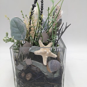 Summer arrangement maritime snail starfish fish cream