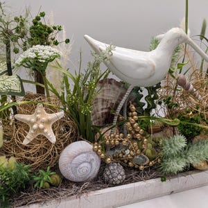 Summer arrangement LED maritime snail coast cream