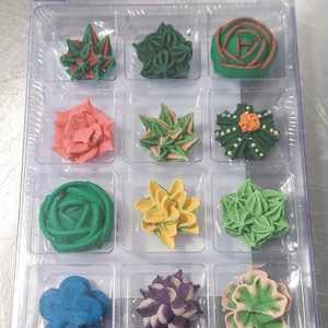 Edible Succulents - Etsy