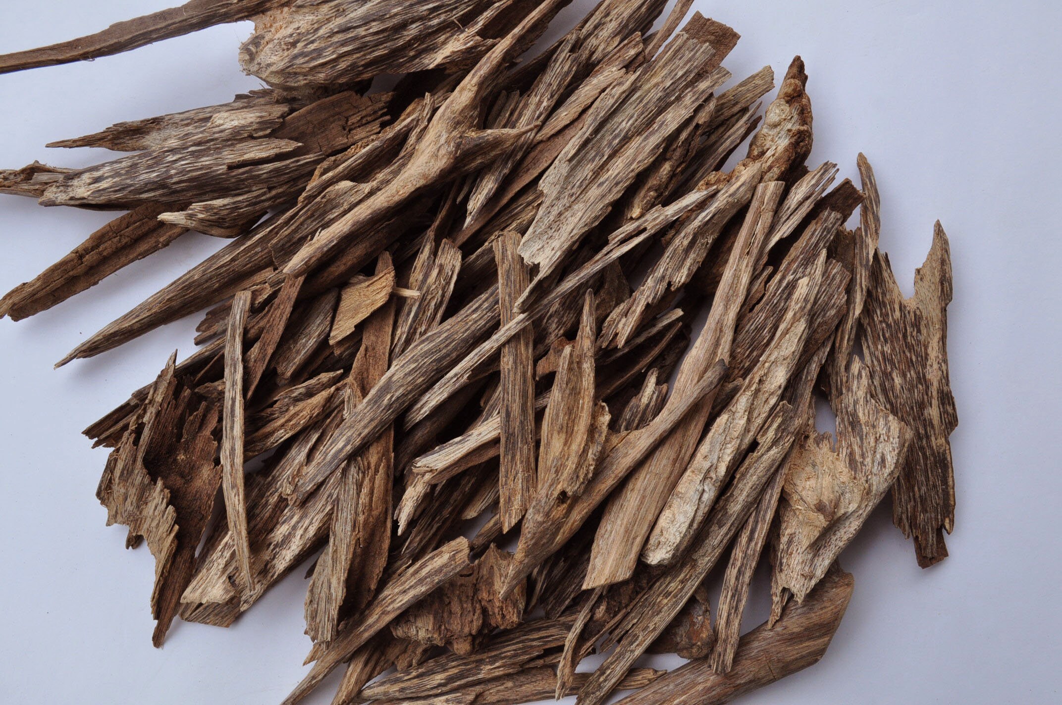 Bois d'agar Sauvage Candan Jungle Ambon Moluques Indonésie