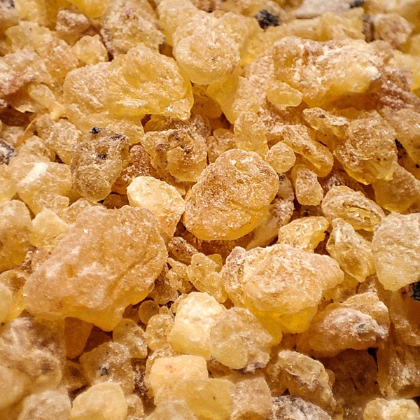 Résine de Frereana naturelle fraîche de première qualité AA, Boswellia frereana