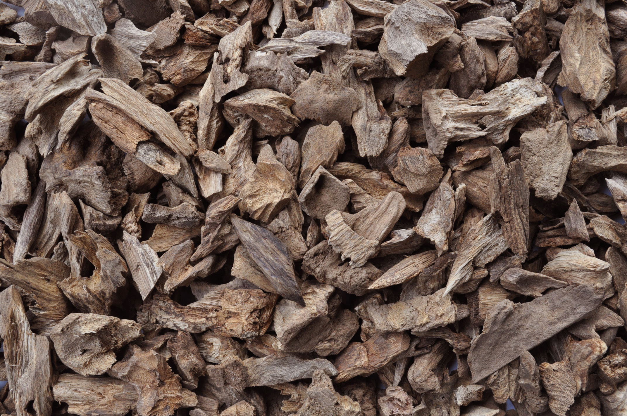 Bois d'agar Sauvage Chips Jungle Ambon Moluques Indonésie