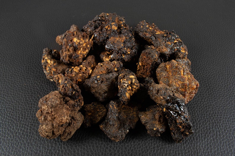 Hyraceum, pierre de musc dAfrique, ingrédient pour le parfum et lencens image 1