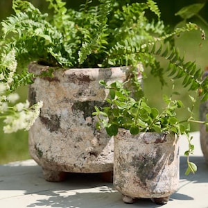 May include: A set of three ceramic mugs with a speckled, matte finish in cream, light brown, and dark brown. Each mug has a simple, minimalist design, ideal for tea or coffee.