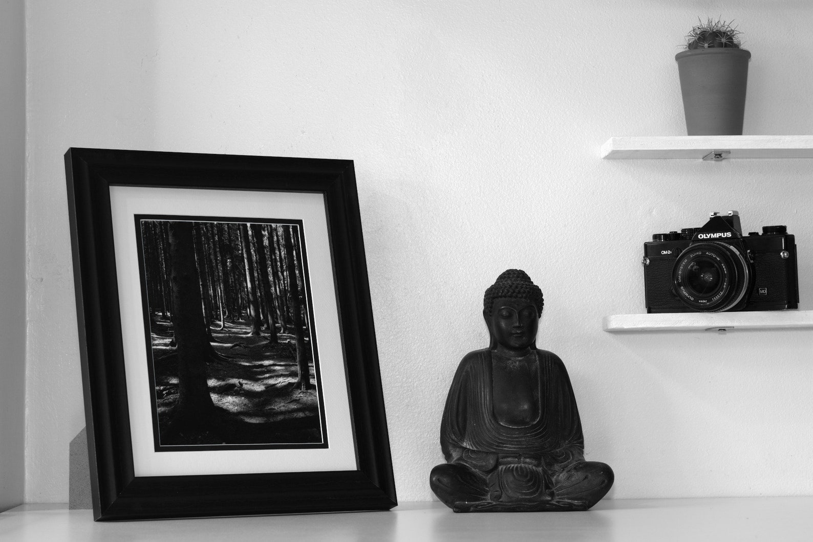 Woodland Path Darkroom Silver Gelatin Print Etsy