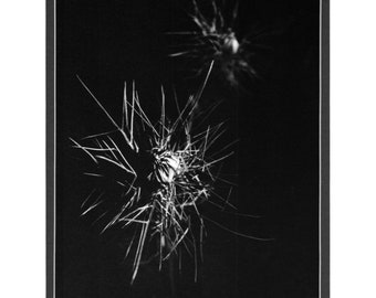 Love in a mist - Darkroom Silver Gelatin Print (8"x10")