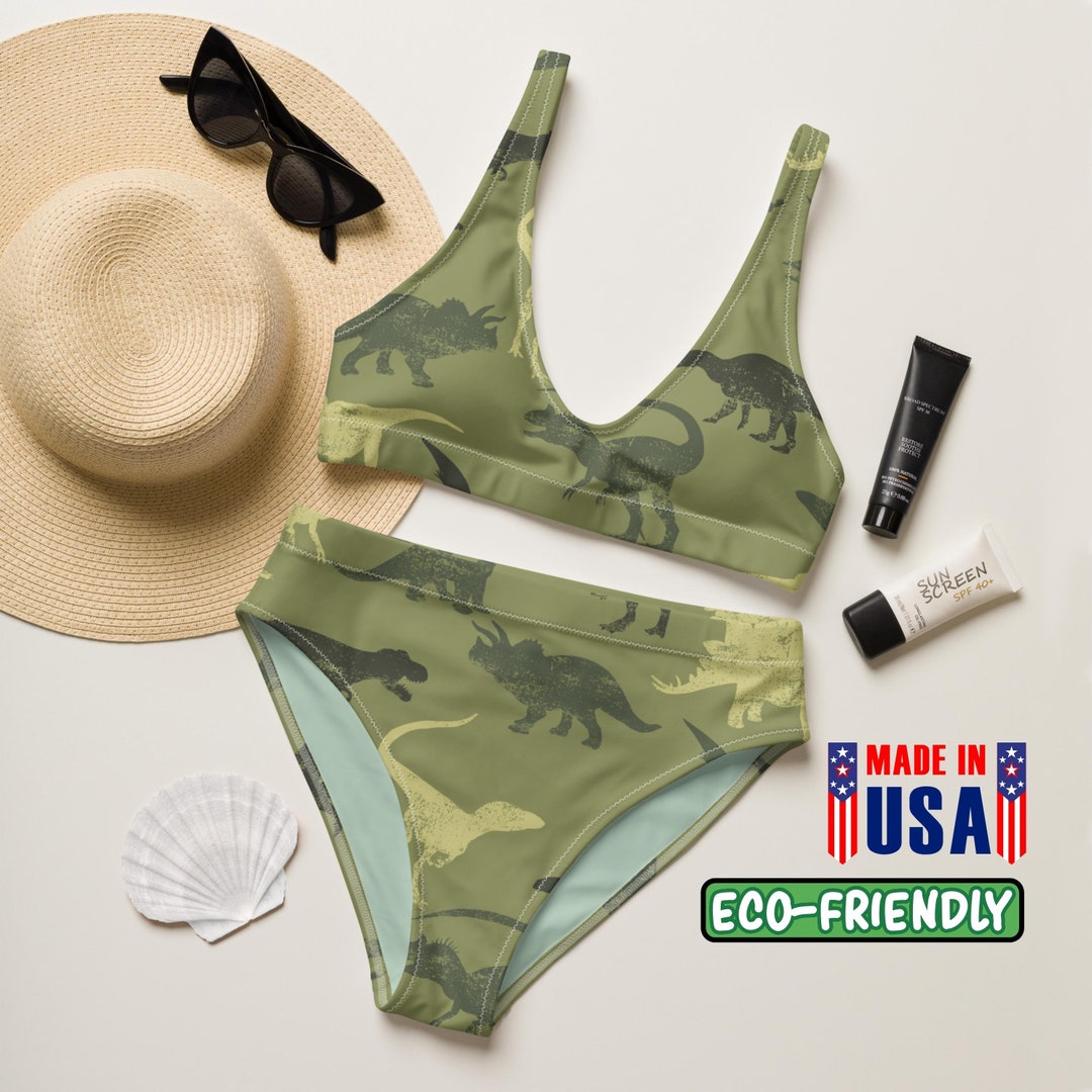 Dinosaurs Highwaisted Bikini Funny Dino Bikini Jurassic Twopiece
