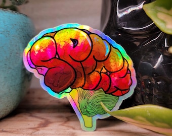 Spicy Brain