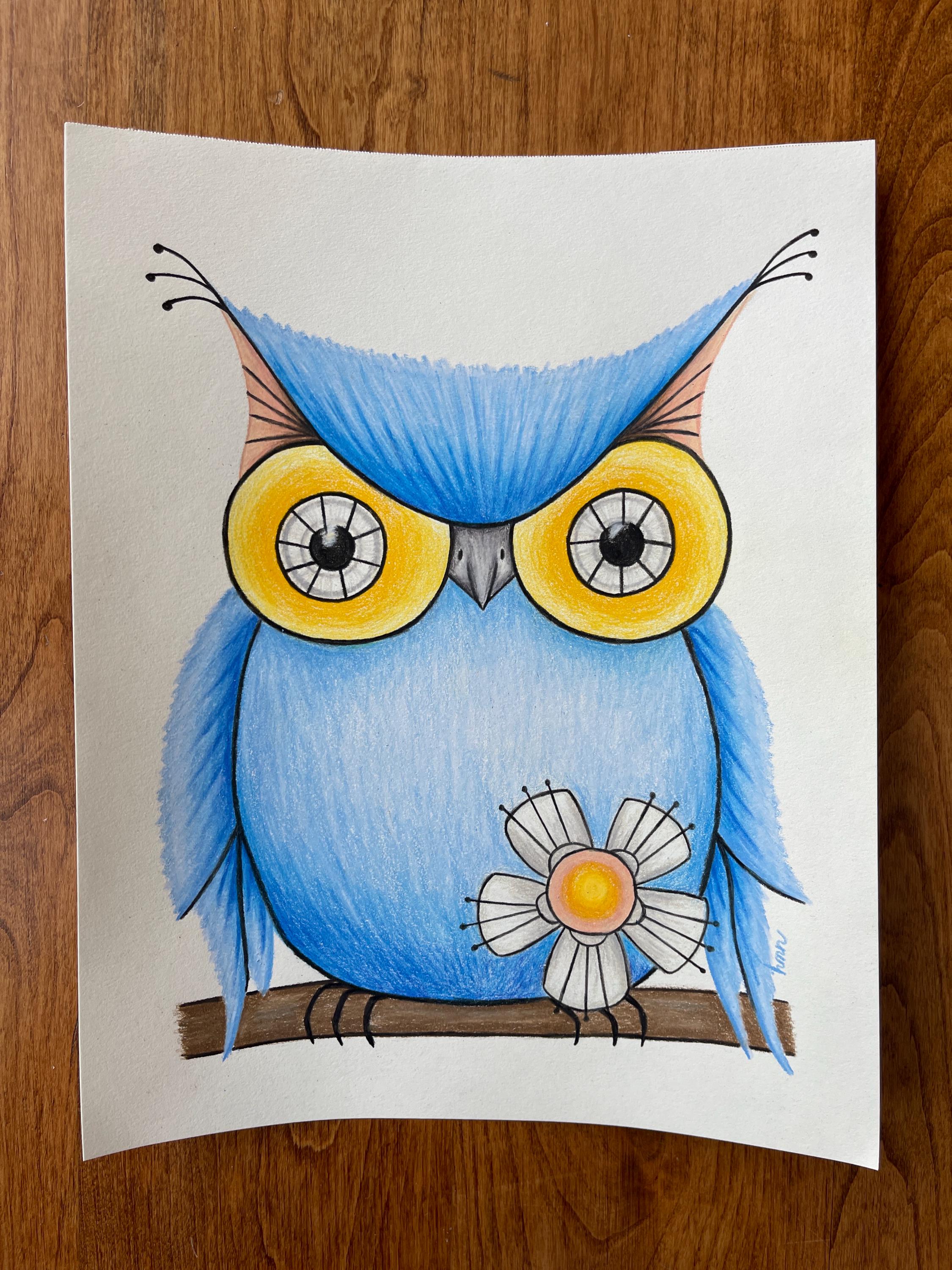 Sweet Owl Original Colored Pencil Drawing