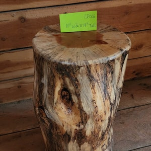 Discounted Lodgepole Pine Stump | Tree Stump | End Table |  Side Table