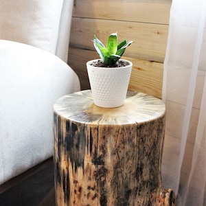 Tall 22" Lodgepole Pine Stump/Side Table