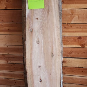 Cedar Live Edge Slabs