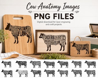Cow Anatomy Laser Engraving PNG Bundle: Beef Cuts and Butcher Charts