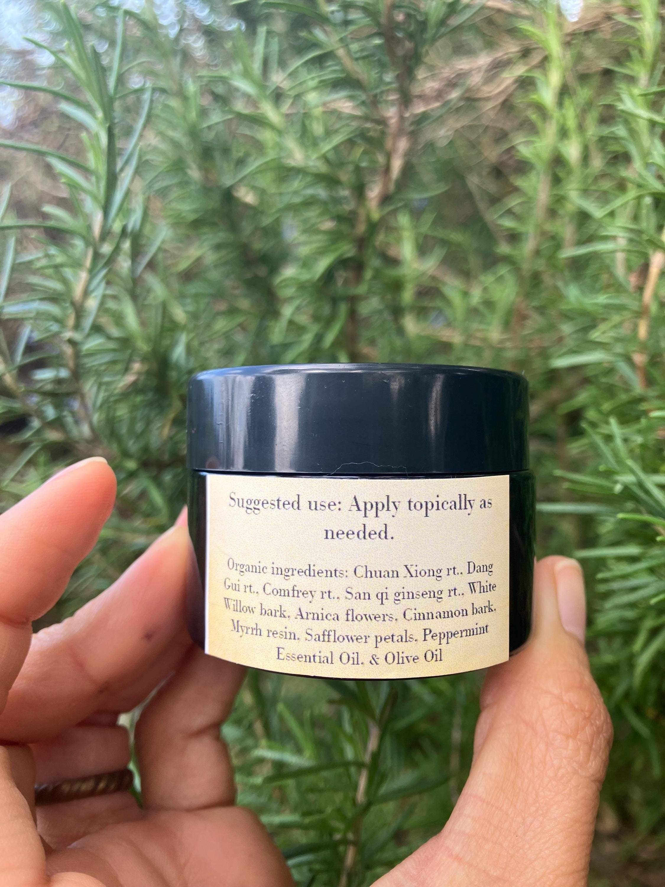 Dit Da Jow - Traditional Chinese Medicine Salve 1 Oz. - Etsy